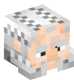 Minecraft head — People