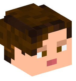 Minecraft head — People