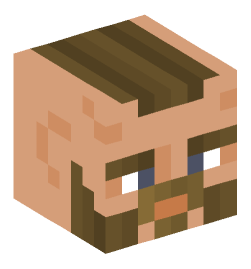 Minecraft head — People