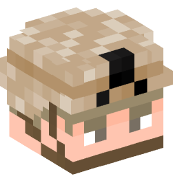 Minecraft head — People