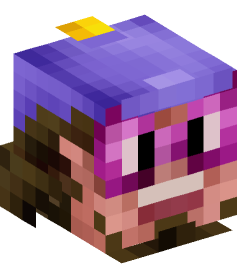 Minecraft head — People