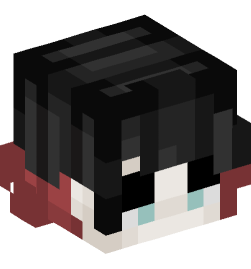 Minecraft head — People