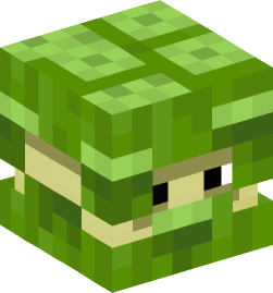 Minecraft head — Monsters