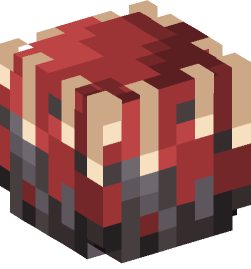 Minecraft head — Decor