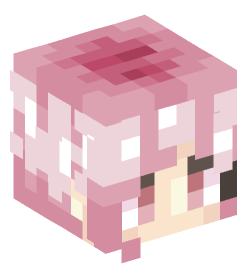 Minecraft head — People