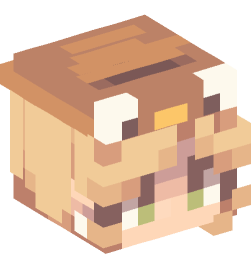 Minecraft head — People