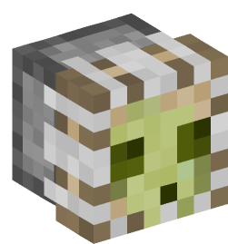 Minecraft head — Decor