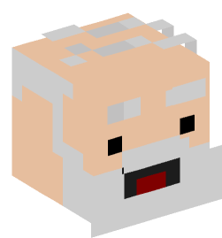 Minecraft head — People