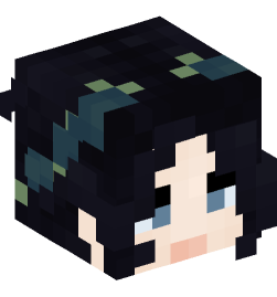 Minecraft head — People