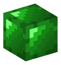 Minecraft head — Blocks