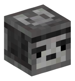 Minecraft head — Decor