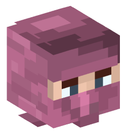 Minecraft head — People