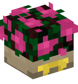 Minecraft head — Decor