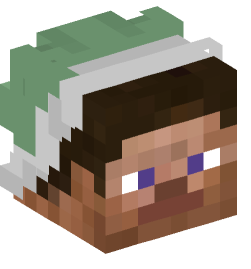 Minecraft head — People