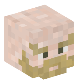 Minecraft head — People