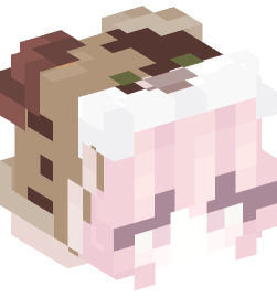 Minecraft head — People