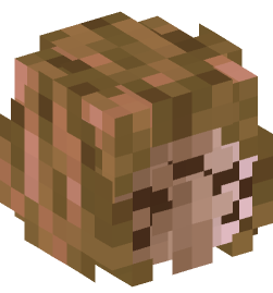 Minecraft head — People