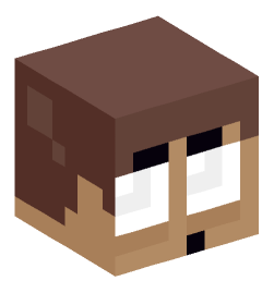 Minecraft head — Miscellaneous