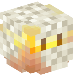 Minecraft head — Miscellaneous