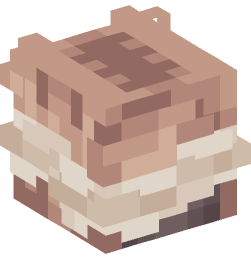 Minecraft head — People