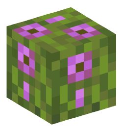 Minecraft head — Plants