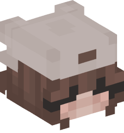 Minecraft head — People