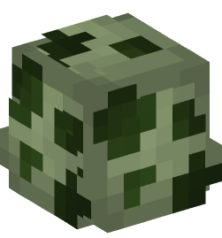 Minecraft head — Decor