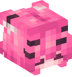 Minecraft head — People