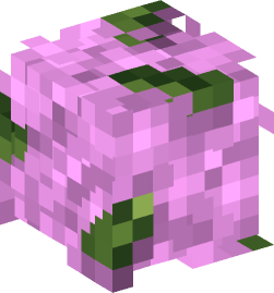 Minecraft head — Plants