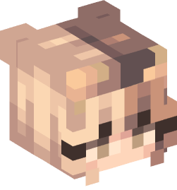 Minecraft head — People