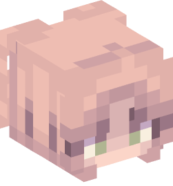 Minecraft head — People