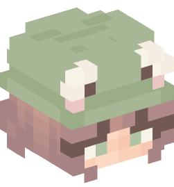 Minecraft head — People