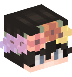 Minecraft head — People
