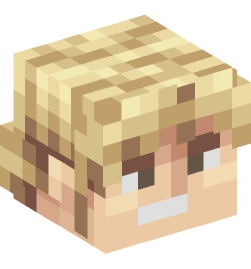 Minecraft head — People