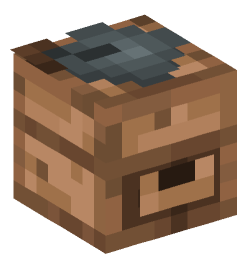 Minecraft head — Decor