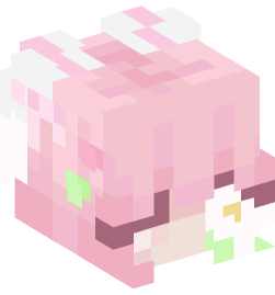 Minecraft head — People