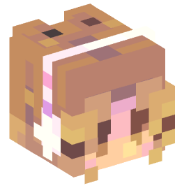 Minecraft head — People