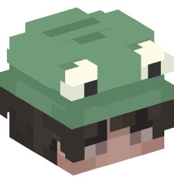 Minecraft head — People