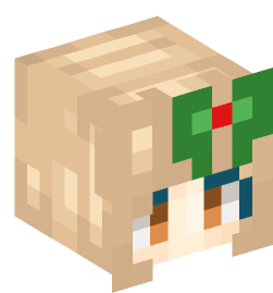 Minecraft head — People