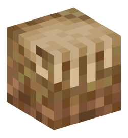 Minecraft head — Decor