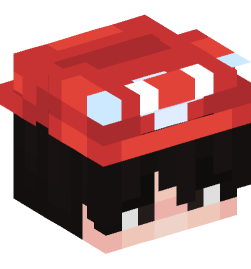 Minecraft head — People