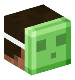 Minecraft head — People