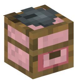 Minecraft head — Decor