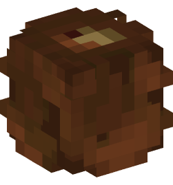 Minecraft head — Food and drink