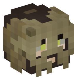 Minecraft head — People