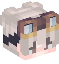 Minecraft head — People