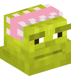 Minecraft head — Creatures