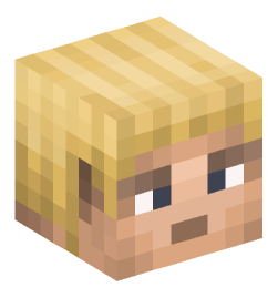 Minecraft head — People