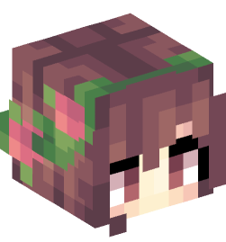 Minecraft head — People