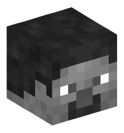 Minecraft head — Decor